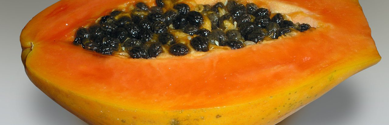 Papaya