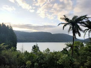 Blue Lake - Rotorua New Zealand